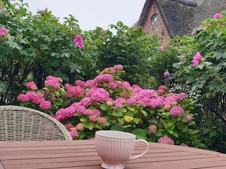 Sommerstimmung auf der Terrasse