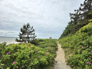 Sandstrand Utersum 15 Fahrradminuten entfernt
