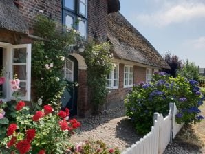 Ferienhaus Brarenhüs - Oldsum auf Föhr - image1