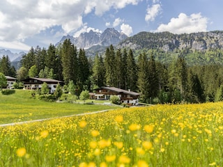 App. Kitzbühler Horn, Hausansicht