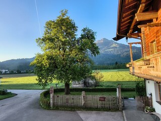 Kitzbühler Horn Bauernhaus biohof Stiedler