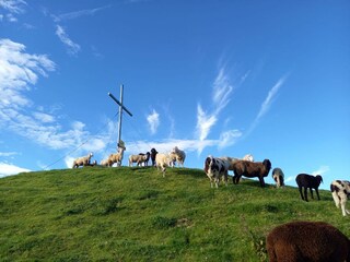 Gipfelkreuz Gumpeneck