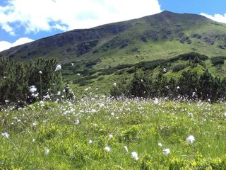 Blick zum Gipfel des Gumpenecks