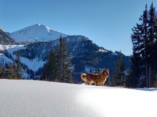Blick zum Gumpeneck