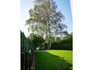 Haus Birkenblick-Garten