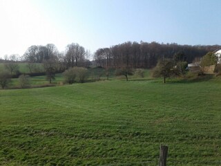 Kreuzdellenhof-Umgeben von Wiesen und Wäldern