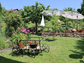 FEWO Odenwald-Garten für unsere Gäste