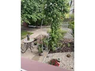 Ferien im Zickzackgässchen-Garten