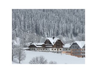 Neuwirt 1 Winter