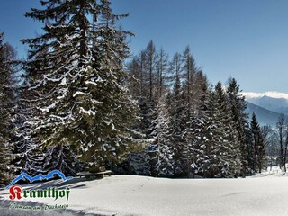 Kramlhof-by-myNests-Apartment-und-Zimmer-Ramsau-am