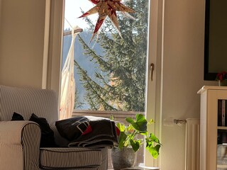 myNests-March06-Apartment-Ramsau-am-Dachstein-Schl