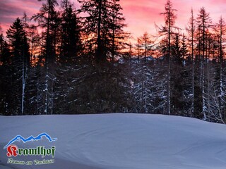 Kramlhof-by-myNests-Apartment-und-Zimmer-Ramsau-am