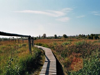 Naturpark Hohes Venn