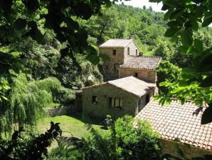 Ferienhaus Gîte de l'Anjeau - n°1 - Gîtes La Baumelle