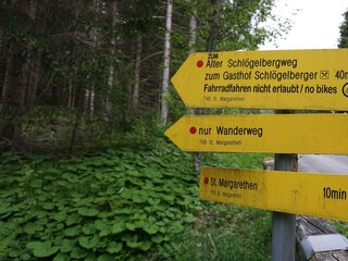 Wanderwege in der Umgebung
