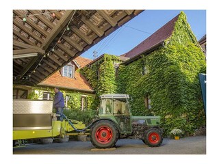 Apartamento Neustadt an der Weinstraße Grabación al aire libre 6