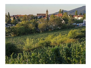 Apartamento Neustadt an der Weinstraße Grabación al aire libre 7