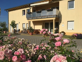 Weingut Gästehaus Platz