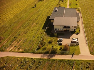 Luftbild Weingut Gästehaus