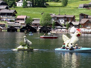 Landhaus Jasmin, Bad Mitterndorf, Narzissenfest