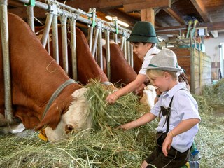 Täglich frische Milch