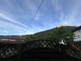 IMG_7560