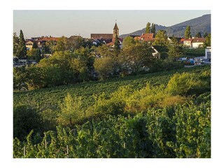 Appartement Neustadt an der Weinstraße Buitenaudio-opname 7