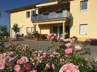 Vakantiekamer Neustadt an der Weinstraße Buitenaudio-opname 3