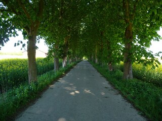 Vakantiehuis Kappeln & Umgebung Omgeving 22