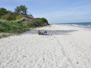Vakantiehuis Kappeln & Umgebung Omgeving 23