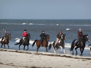 Vakantiehuis Kappeln & Umgebung Omgeving 24