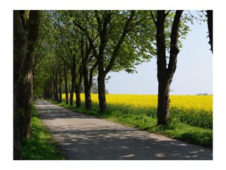 Vakantiehuis Kappeln & Umgebung Omgeving 21