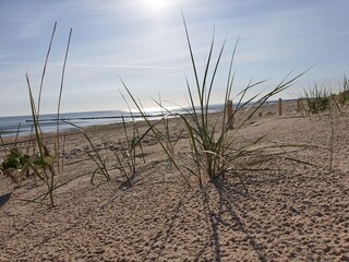 Strand in der Morgensonne