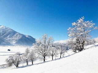 Appartement Hollersbach im Pinzgau Buitenaudio-opname 2