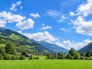 Appartement Hollersbach im Pinzgau Environnement 39