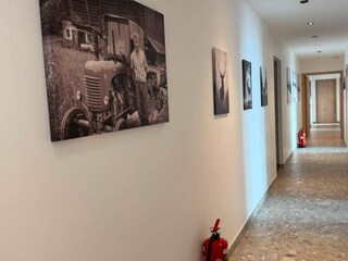 Appartamento Neukirchen am Großvenediger Caratteristiche 9