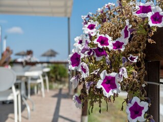 Apartment Lido delle Nazioni  37