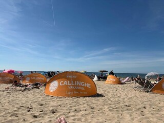 Maison de vacances Callantsoog Environnement 25