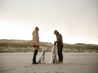 Maison de vacances Callantsoog Environnement 22