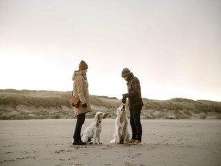 Vakantiehuis Callantsoog Omgeving 24