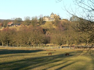 Sababurg mit Tierpark