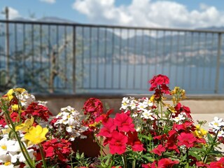 Holiday apartment Brenzone sul Garda Environment 8