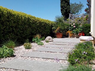 Well- maintained garden