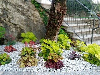Liebevoll gepflegter Garten in der Anlage