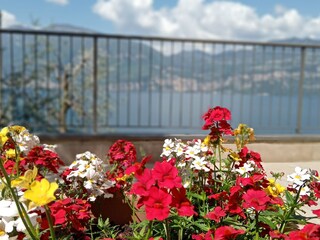 Panoramic view from the terrace