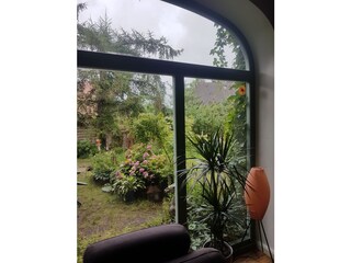 Blick in den Garten
