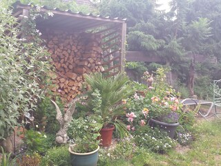 Ferienwohnung Winsen (Luhe) Außenaufnahme 5