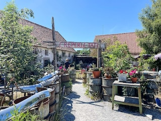 Ferienhaus Fårö Island  36