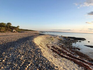 Ferienhaus Fårö Island  31