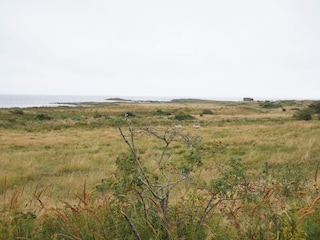 Ferienhaus Falkenberg (Schweden)  41